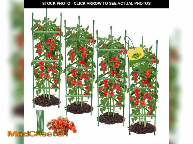 Lot 74-13957282 - 4PCS Tomato Cages for Garden, Tomato Trellis for Raised Garden Bed, 51.2" Tall Cage Plant Support fo...