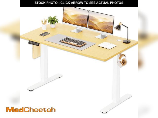 Lot 74-12891664 - CONCETTA Electric Standing Desk, 55''x24'' Height Adjustable Desk, Home Office Desk with Electric Li...