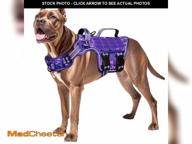 Lot 74-13623963 - Dog Harness for Large Dogs Heavy Duty, No Pull Tactical Dog Harness with Molle System, Easy On and O...