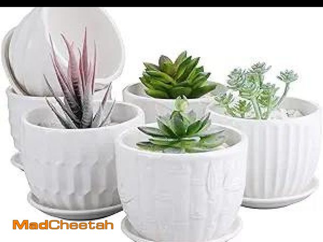 Lot 74-12128023 - Brajttt Flower Pots, 4 Inch Cylinder Ceramic Plant Pots with Connected Saucer, Mini Ceramic Planters...