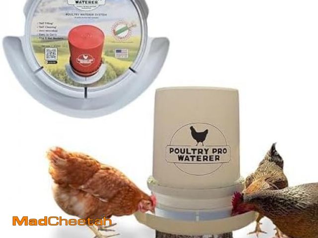 Lot 74-12148902 - The Original Poultry Pro Waterer | DIY Chicken Waterer for Chicken Coop | Hands Free Poultry Waterer...