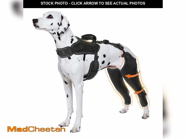 Lot 74-13568300 - Dog Acl Brace Hind Leg - Keeps Joints Warm and Protection, Upgraded Adjustable Leg and Hip, Dogs Rea...