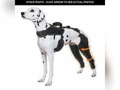 Lot 74-13568300 - undefined