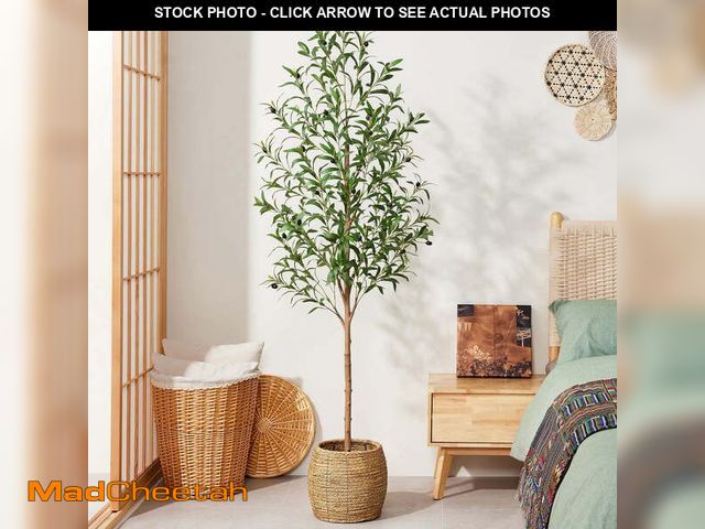 Lot 74-14370073 - DR.Planzen Artificial Olive Tree 6 ft Tall Faux Floor Plant in Black Pot - Realistic Greenery with A...