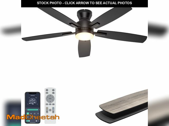 Lot 74-14430011 - Ohniyou 52'' Low Profile Ceiling Fan with Lights, Remote/APP Control, Black - UNUSED