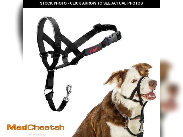 Lot 74-14267913 - Halti Headcollar - Stop Your Dog Pulling on the Leash. Adjustable, Reflective and Lightweight, with ...