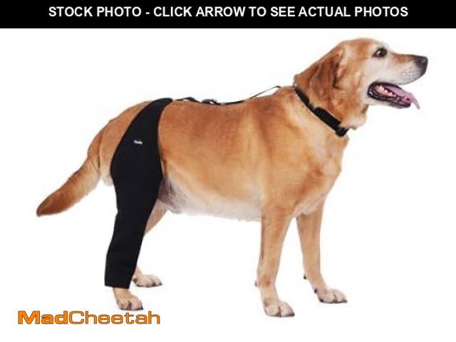 Lot 74-11548943 - Dog Recovery Sleeve Back Leg Waterproof Diving Material,Dog Leg Sleeve to Stop Licking and Biting Fi...