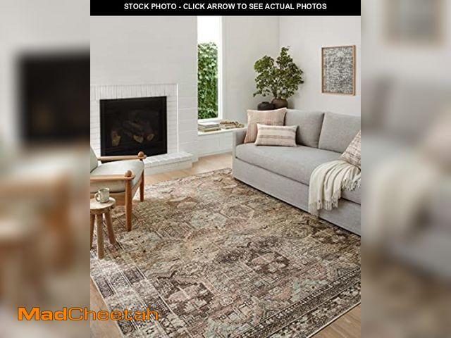 Lot 74-12137827 - Loloi Amber Lewis Billie Collection, Clay &amp; Sage 2'-3" x 3'-9" Area Rug - Antique &amp; Distress...