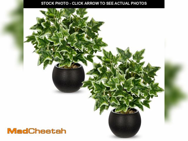 Lot 74-14331172 - Arborus 2 Packs Artificial Plants in Black Pot, 12" Faux Plant - UNUSED