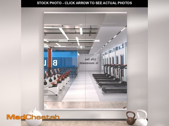 Lot 74-12786474 - LOAAO Home Gym Mirror, 56"x22"-2 PCS Gym Mirrors for Wall, Frameless, Tempered Glass, Large Workout ...