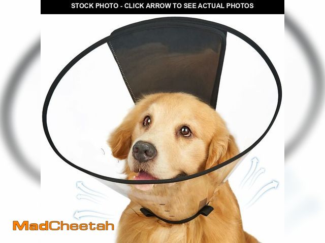 Lot 74-12601995 - Didopet Dog Cone Collar, Transparent Recovery Cone for Large Medium Small Dogs, Soft Elizabethan Col...