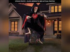 Lot 74-12861413 - undefined