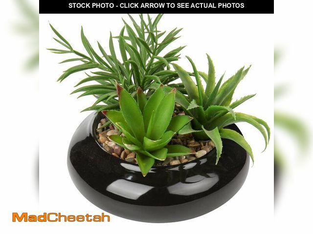 Lot 74-14268196 - Hollyone Large Artificial Succulents Plants Faux Succulents in Pots Fake Succulent Potted Plants wit...
