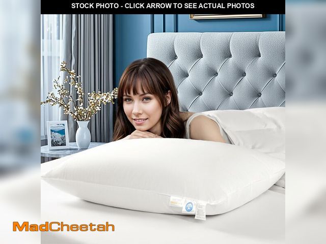 Lot 74-12714129 - LIANLAM Luxury Canadian White Goose Down Pillow King Size(1 Pack, 20"x37") - USED