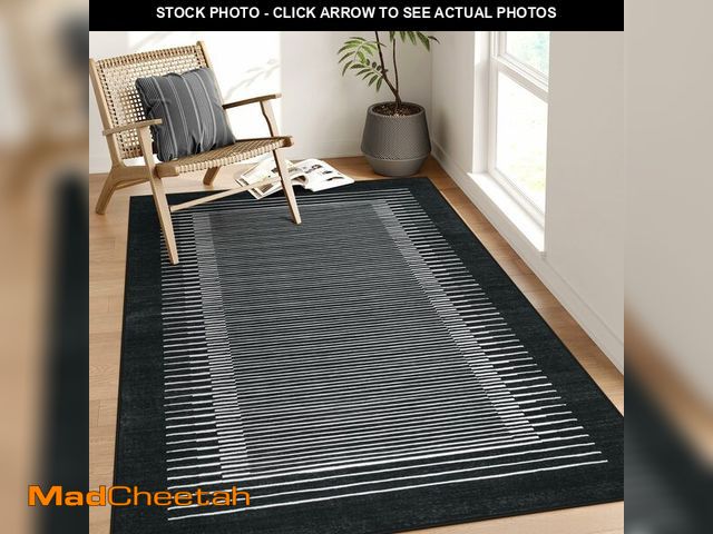 Lot 74-13631968 - Wonnitar Washable Striped 5x7 Washable Area Rug, Non-Slip Black Berber Stripe Rugs for Living Room, ...