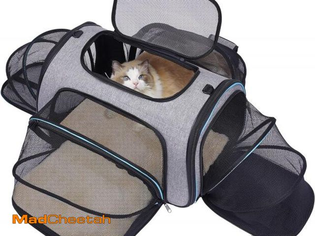 Lot 74-11556572 - Siivton 4 Way Expandable Pet Carrier, Airline Approved Collapsible Cat Soft-Sided Carriers W/Removab...