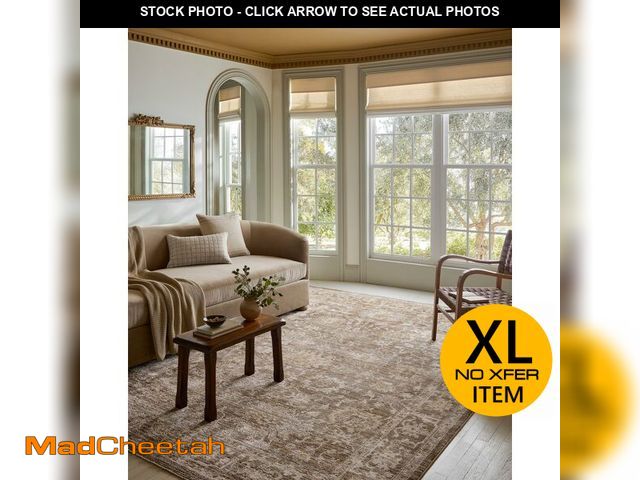 Lot 74-12568809 - Loloi Magnolia Home by Joanna Gaines Pace Collection PAC-01 Bark/Natural 9'-6" x 12'-3" Area Rug - U...