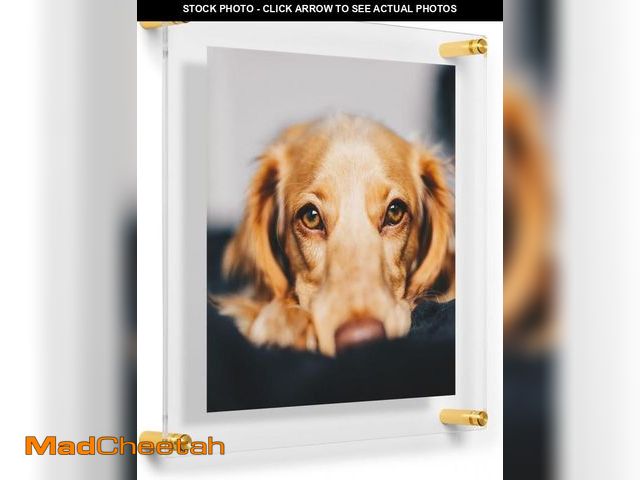 Lot 74-12137376 - Wexel Art 12x12" Clear UV Grade Acrylic Floating Picture Frame Double Panel Photo Display with Gold ...