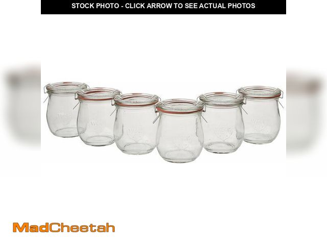 Lot 74-12703615 - Mini Tulip Jelly Jar with Glass Lids 6 Rings and 12 Clamps, 6 Count (Pack of 1) - USED