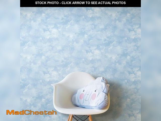Lot 74-12098658 - York Wallcoverings PSW1211RL Blue Atrium Clouds Premium Peel and Stick Wallpaper - UNUSED