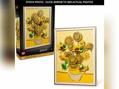 Lot 74-11915785 - undefined