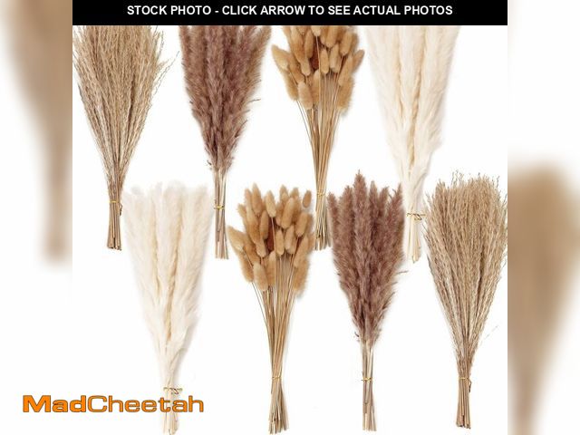 Lot 74-14329976 - 200PCS Dried Flower Bouquet Ã¢â¬â Pampas Grass, Floral Decor for Home, Wedding, and Boho Style | ...