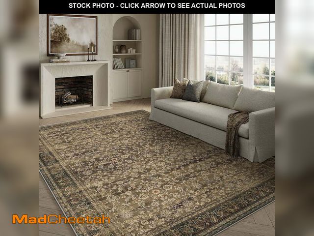 Lot 74-12765144 - BERTHMEER 9'x12' Large Area Rugs for Living Room Bedroom Office Brown Vintage Non Slip Washable Farm...