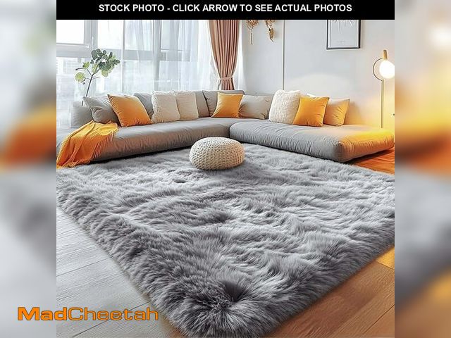 Lot 74-12678032 - Pentantan Shag Area Rugs, 5ft x 8ft Soft Fluffy Indoor Carpet for Living Room Bedroom Decor, Light G...
