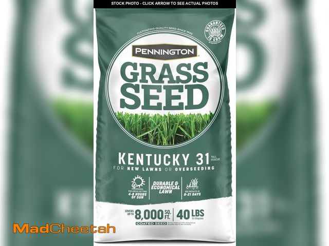Lot 74-12044175 - Pennington Kentucky 31 Tall Fescue Penkoted Grass Seed 40 lbs - UNUSED