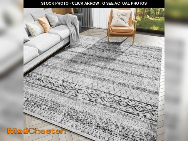 Lot 74-12419991 - SIXHOME 5 X8  Area Rugs for Living Room Washable Rugs Boho Geometric Distressed Rug Moroccan Neutral...