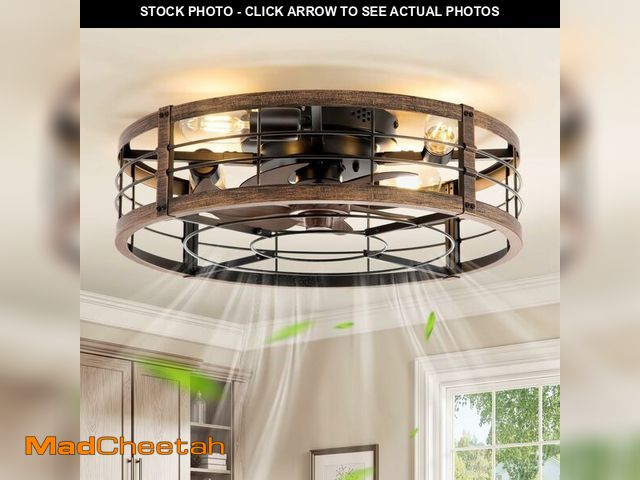 Lot 74-14299073 - LEDIARY 20" Caged Ceiling Fan with Light and Remote, Low Profile Flush Mount Fandelier, Black Gold B...