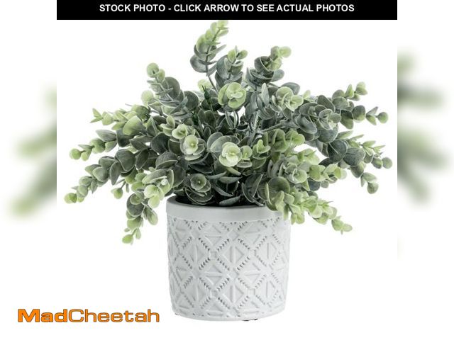 Lot 74-11554080 - MyGift Artificial Eucalyptus Boxwood Plant in Modern Gray Concrete Pots with Geometric Embossed Patt...