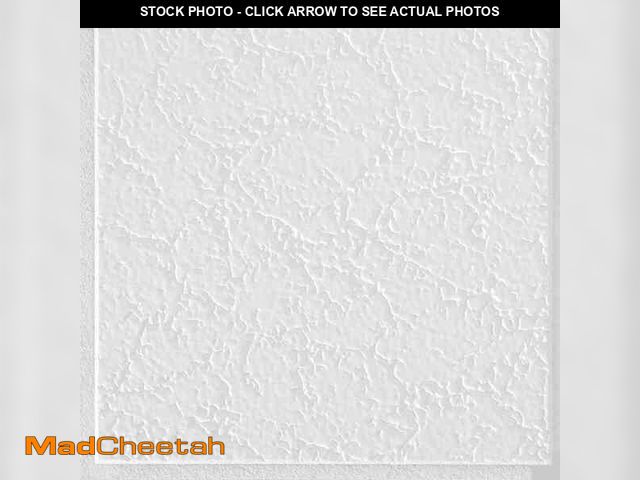 Lot 74-12872824 - Armstrong CEILINGS Grenoble 1 ft. x 1 ft. Clip Up or Glue Up Fiberboard Ceiling Tile in White (40 sq...