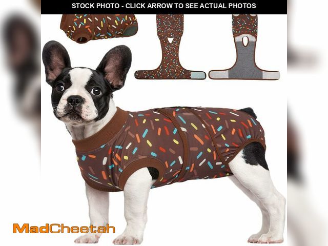Lot 74-14477671 - Kuoser Dog Surgery Suit, Female Dog Recovery Suit Doggie Onesie for Surgery - UNUSED