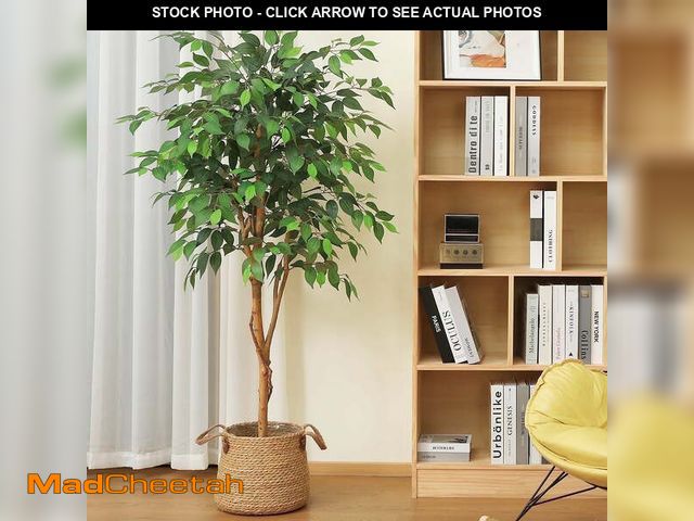 Lot 74-14434653 - DR.Planzen 5 feet Artificial Ficus Tree, Tall Lifelike Greenery with Natural Wood Trunk for Living R...