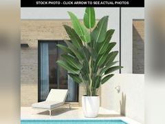 Lot 74-12393342 - undefined