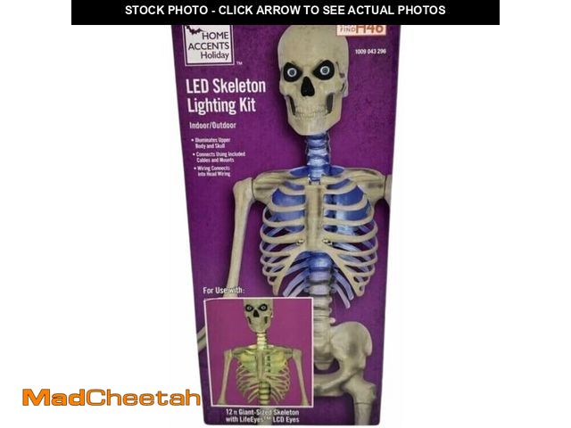 Lot 74-12829604 - Home Accents Holiday COLOR CHANGING LED 12 ft Skelly Lighting Kit (for use with 12 ft Skelly with Li...