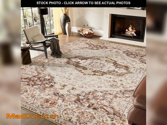 Lot 74-12764935 - SIXHOME 6'x9' Area Rugs for Living Room Washable Traditional Distressed Carpet Non Slip Ultra Soft R...