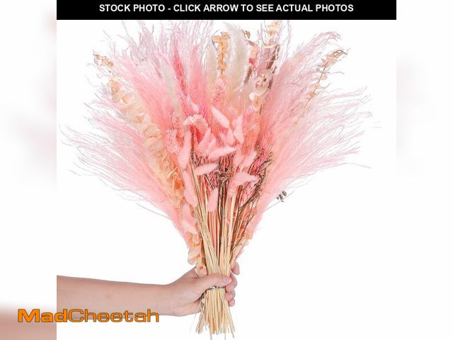 Lot 74-12978619 - Thiccywoov 120 Pcs Pink Natural Dried Pampas Grass Fall Decor 17 Inches Autumn Fluffy Grass Bouquet ...