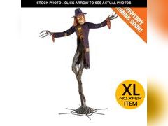 Lot 74-12900794 - undefined