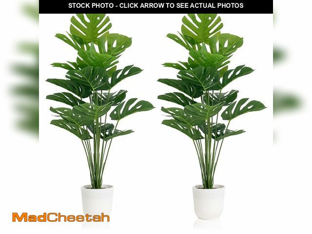 Lot 74-14152535 - SAJANDAS Set of 2 Artificial Monstera Deliciosa Plants in Pots, Fake Tropical Trees with Greenery Le...