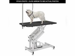 Lot 74-12784383 - undefined