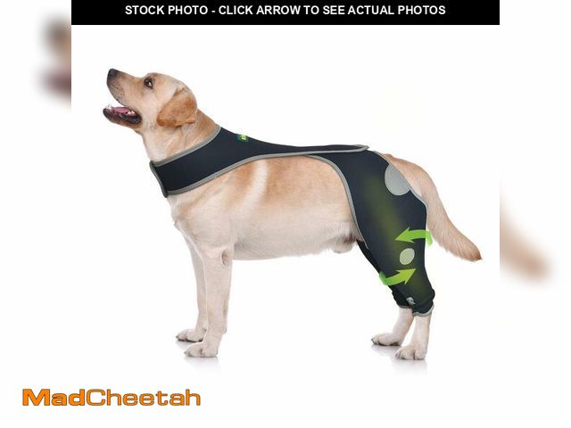 Lot 74-12438169 - KISFLY Dog Rear Leg Recovery Sleeve Ã¢â¬â Stops Licking and Protects Wounds Ã¢â¬â Reflective B...