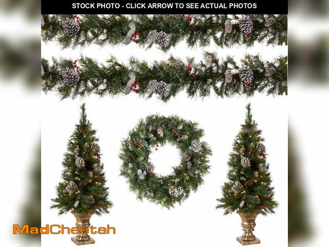 Lot 74-13331654 - National Tree Company Pre-Lit Frosted Berry Artificial Christmas Decoration Set, Includes 2 Mini Ent...