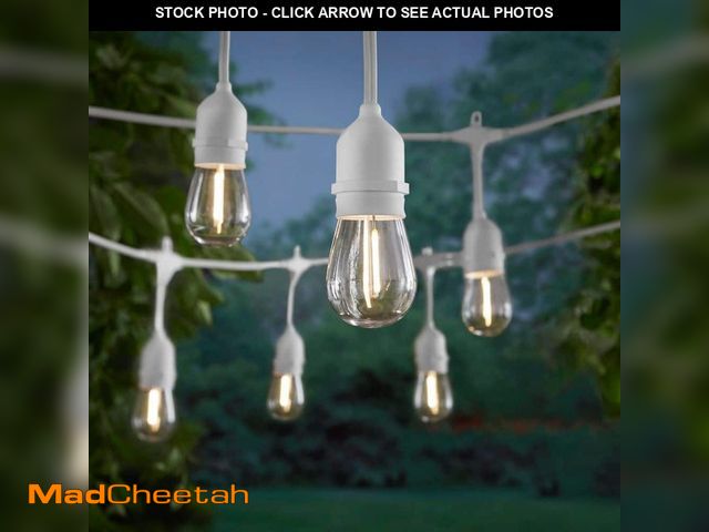 Lot 74-14359153 - Hampton Bay 12-Light 24 ft. Indoor/Outdoor Plug-In Edison Bulb String Light with S14 Single Filament...