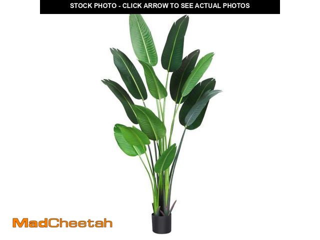 Lot 74-12490613 - TINTEC 6 Ft Artificial Bird Of Paradise Artificial Trees in Green Decorative Placement Plastic Growe...