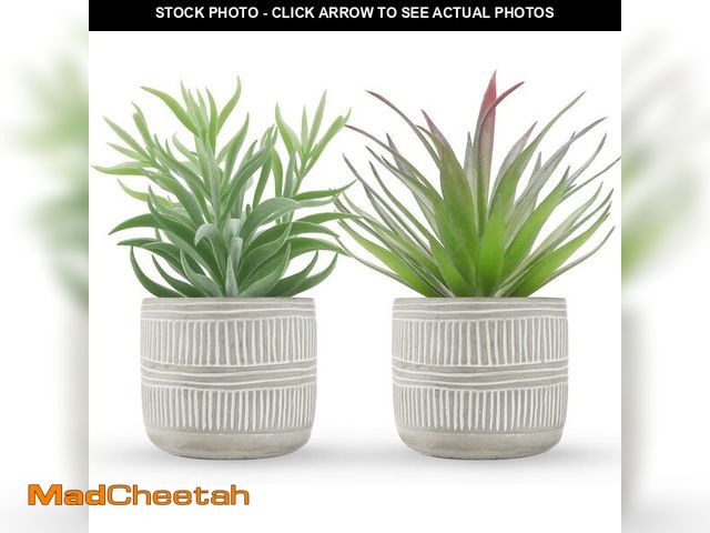 Lot 74-13568176 - Der Rose 2 Pack Fake Succulents Plants Artificial Succulents in Pots for Room Home Bathroom Bedroom ...