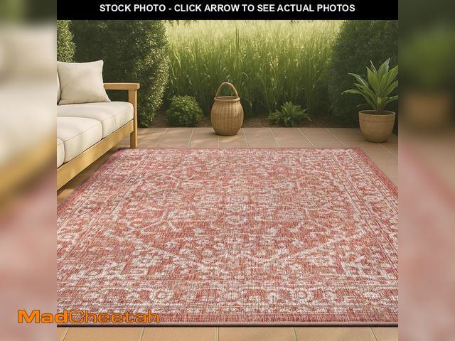 Lot 74-12405191 - JONATHAN Y Boho Medallion Indoor Outdoor Area Rug 3X5 Red/Taupe, Malta Textured Weave for Backyard, ...