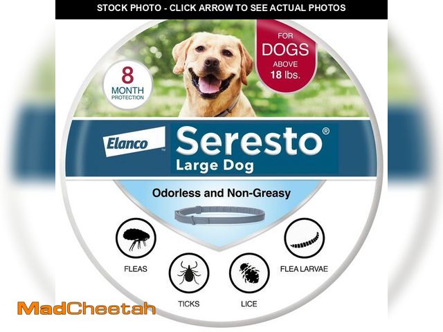 Lot 74-14152703 - Seresto Flea &amp; Tick Collar For Dogs Over 18 lbs., Treatment &amp; Prevention, Vet-Recommend, 8 M...