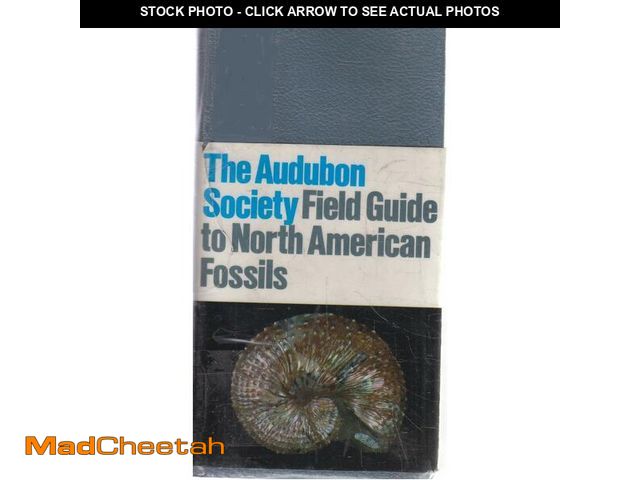 Lot 74-14273070 - The Audubon Society Field Guide to North American Fossils 1988 - UNUSED